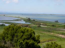 Find information about things to do, restaurants from tides to trails…plan your coastal escape today in st. Reserve Naturelle Regionale De Sainte Lucie Wikipedia