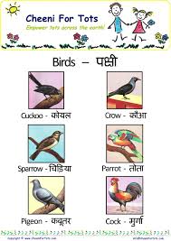 learn hindi with colorful charts