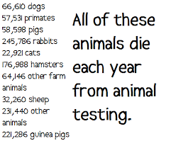 Good Way To Put It Into Perspective Ke Stop Animal Cruelty Animal Cruelty Animal Testing