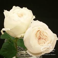 Miami, florida, residents can receive and send beautiful and affordable floral arrangements designed by our. Flowers By The Bunch Next Day Delivery Direct Source Florists Virgin Farms