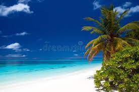 Summertime At A Tropical Beach On The Maldives Sponsored Tropical Summertime Maldives Beach Ad Beach Most Beautiful Beaches Beautiful Beaches