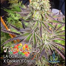 It is a real pleasure to grow, la cookies won't require much effort to . The Candy Exotic Genetix Cannabis Strain Info