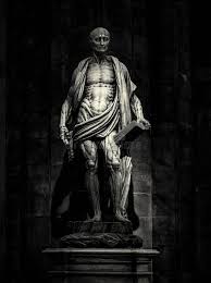 Skinned Alive Stock Photos - Free & Royalty-Free Stock Photos from  Dreamstime