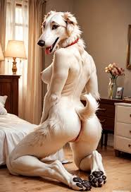 Rule 34 - 2024 Ai Generated Anthro Anus Ass Borzoi Breasts Canid Canine  Carnivalecloudmuncher Domestic Dog Female Furry Kneeling Mammal Nipples  Nude Pussy Raised Tail Rear View Self Upload Solo Tagme Tail