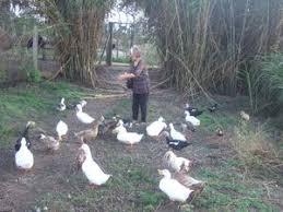 We did not find results for: Mesa De Los Santos Mi Colombia Querida Bucaramanga Travel Blog