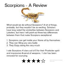 16 Quirky Meme Reviews That Are Weirdly On Point Short Jokes Memes Funny Memes