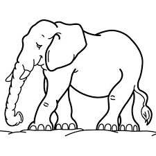 Desene de colorat si planse educative. Imagini De Colorat Cu Animale De La Zoo Gratuit Pentru A Imprima