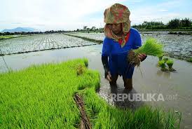 Langkah pertama untuk memajukan sektor pertanian dengan mengubah kaedah pertanian menggunakan teknologi terkini. Bangkitkan Perekonomian Dengan Modernisasi Sektor Pertanian Dan Peternakan Republika Online