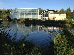 A window in tom's universe. Side View Of The Small Lake And Butterfly House Picture Of St Louis Carousel At Faust Park Chesterfield Tripadvisor