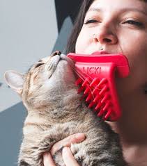 Brosse Langue De Chat Licki Brush Une Idee De Cadeau Original Et Insolite Cadeau De Noel Original Idee Cadeau Original Langue De Chat