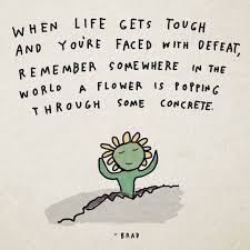 When Life Gets Tough And You Re Faced With Defeat Remember Somewhere In The World A Flower Is Popping Th Resilience Quotes Tough Quote Gardening Quotes Funny
