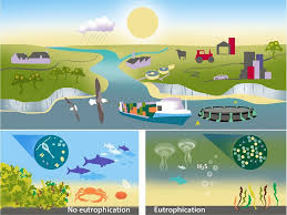 Eutrophication And Nitrogen Cycle Pollution Ospar Commission Teaching Ecology Secondary Science Global Warming Poster