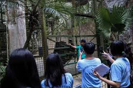 Kapasitas pengunjung tidak boleh lebih dari 50 persen. Cegah Corona Ini 21 Tempat Wisata Di Jakarta Yang Tutup Halaman All Kompas Com