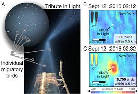 We did not find results for: High Intensity Urban Light Installation Dramatically Alters Nocturnal Bird Migration Pnas