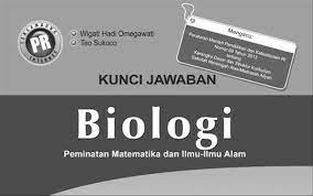 Kelas x semester 1 dan jawabannya. Kunci Jawaban Pr Fisika Kelas Xi Semester 1 Intan Pariwara My First Jugem