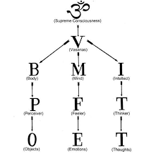 Bmi Chart Chinmaya Mission Harleysville