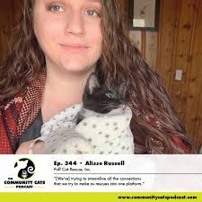 Community Cats Podcast