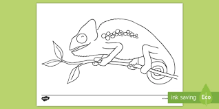 It easily adapts to any environment: Chameleon Colouring Page Teacher Made