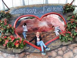 Tempat makanan di cameron highland. Tempat Menarik Di Cameron Highland Yang Mommy Singgah