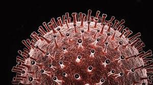 See our latest list of scams here. Decoding The Virus What We Know About Sars Cov 2 A Year On News Chemistry World