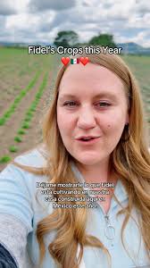 One of our favorite local panaderías invited us to film a behind the scenes  look at how they create their pan dulce or sweet bread here in Mexico! This  was such an