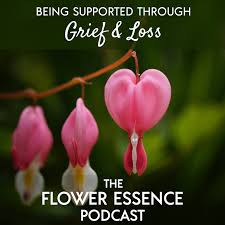 Be careful, however, with licorice, which is not recommended for those with blood pressure problems. Fep07 Grief And Loss The Flower Essence Podcast