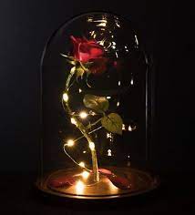 Check spelling or type a new query. 35 Beauty And The Beast Aesthetic Ideas Beauty And The Beast Beast Beauty
