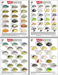 Heddon Punkinseed Color Chart Related Keywords Suggestions