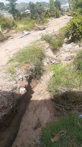 🏘 NUESTRO VECINDARIO Vecinos...