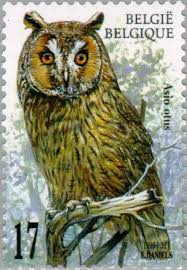 Erleben sie das euro fußball spiel zwischen finnland und belgien live mit berichterstattung von eurosport. 900 Briefmarken Eulen Stamps Owls Ideen Briefmarken Eule Tiermotive