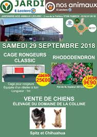 Jardi Nos Animaux E Leclerc Samedi E Leclerc Fameck Facebook