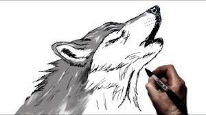 In this lesson we will learn how to draw a wolf in stages, using #2 pencil. How To Draw A Howling Wolf Step By Step Youtube