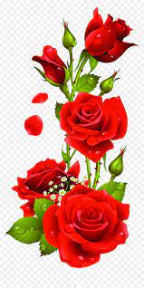 Red rose flower illustration, rose, rose hd, leaf, color, plant stem png. Rose Flower Images Download Hd Png Download Vhv