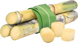 Ihre besten fotodrucke auf verschiedenen materialien & im wunschmaß. Sugarcane J C Tropicals