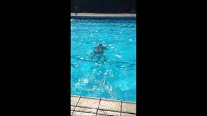 Piscine Chateaurenard Youtube