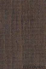 Image result for Diospyros crassiflora