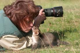 20 Pictures Showing That Nature Photographers Have The Best Jobs Ever Cute Animals Animal Photo Animals Beautiful