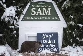 Have you seen any bats? Canada S Celebrity Groundhogs Predict An Early Spring The Star