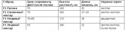 Saharnaya Kukuruza Rentabelnost 600 Fermer Ru Fermer Ru Glavnyj Fermerskij Portal Vse O Biznese V Selskom Hozyajstve Forum Fermerov