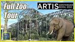 Inside the Artis Royal Zoo: An Amsterdam Hidden Gem - YouTube
