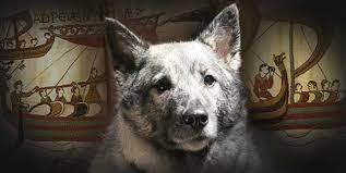 Viking Dogs Followed Their Masters To Valhalla Norse Mythology Names Dogs Dog Names