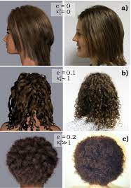 Check spelling or type a new query. And 3 Show Various Hairstyles Obtained With Our Method For Different Download Scientific Diagram