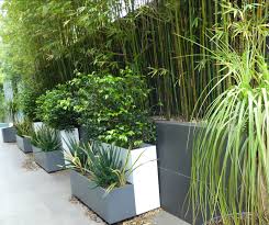 The yarraville gardens is the perfect spot for a picnic, with barbeques and tables surrounded by trees. Small Spaces Garden Design Sustainable Garden Design Melbourne