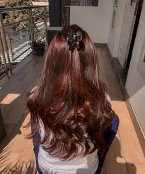 *garnier ultra color warna 7.3 golden brown step by step. Kwaciiiiiiii ×'×˜×•×•×™×˜×¨ Ya Emg Nder Aku Percis Kaya Kamu Pas Udh 2mingguan Karena Ga Mau Nyala2 Banget Ku Timpa Lg Pake Warna Burgundy Campur Golden Brown Https T Co Gzwglsrjpm