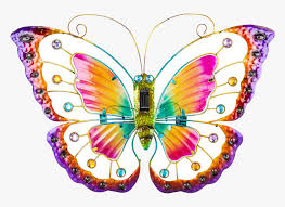 Are you looking for the best colorful butterflies images for your personal blogs, projects or designs, then clipartmag is the place just for you. Colorful Butterfly Png Free Image Download Butterfly Art With Fairy Light Transparent Png Kindpng