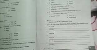 Aktivitas éksékrési pankreas nyaéta anu aya hubunganana sareng sistem pencernaan. Kakak Tolong Bantu Buat Kalimat Kecap Barang Kecap Pagawean Kecap Sipat Kecap Bilangan Masing Brainly Co Id