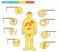 In the world, canada is the second largest country after russia. Illustration Of Attention To Health And Safety When The Seasons Change Royalty Free Cliparts Vectors And Stock Illustration Image 125096090