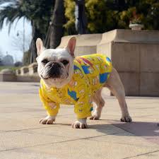 Collars, toys and custom portraits for pets. Mpk Store French Bulldog Cans Printed Dog T Shirt Pet Clothes Dog Sweater 12 Dc Cans French Bulldog Clothes Dog Clothes Storesbulldog Clothes Aliexpress