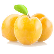 نهال آلو زرد