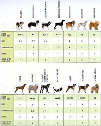 Choosing A Dog Breed Article On Pets Ca Pets Ca